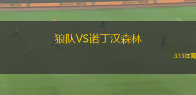 狼隊VS諾丁漢森林